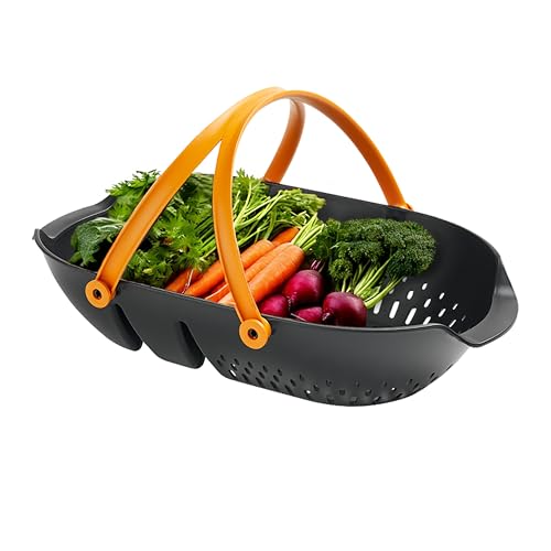 Best Vegetable Garden Tools