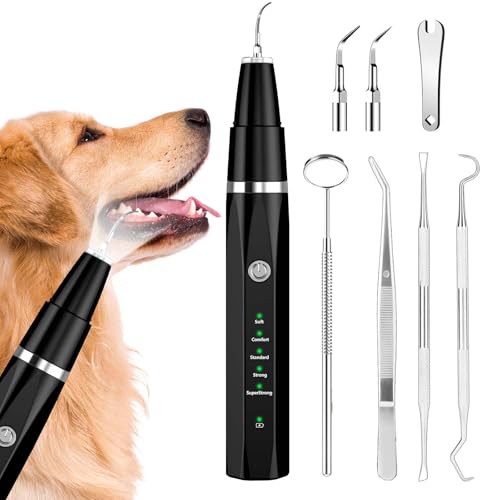Dog Teeth Cleaning Tools