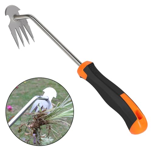 Garden Tools to Remove Grass