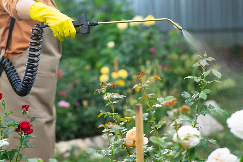 How to Get Rid of Weeds in a Flower Garden