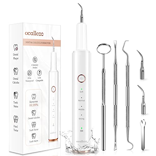 Tartar Cleaning Tool
