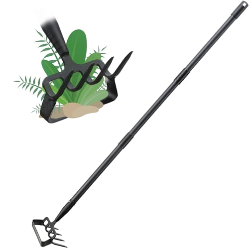 Weeder Hoe Tool